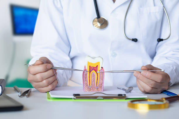 Best Emergency Orthodontic Repairs in Darien, IL